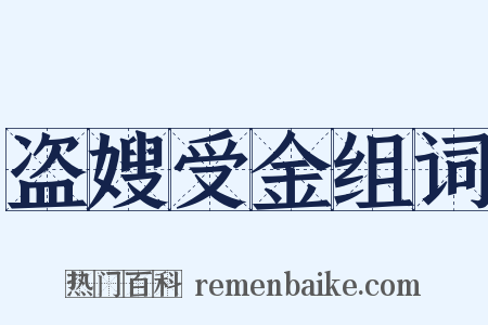 盗嫂受金组词是什么意思的图片